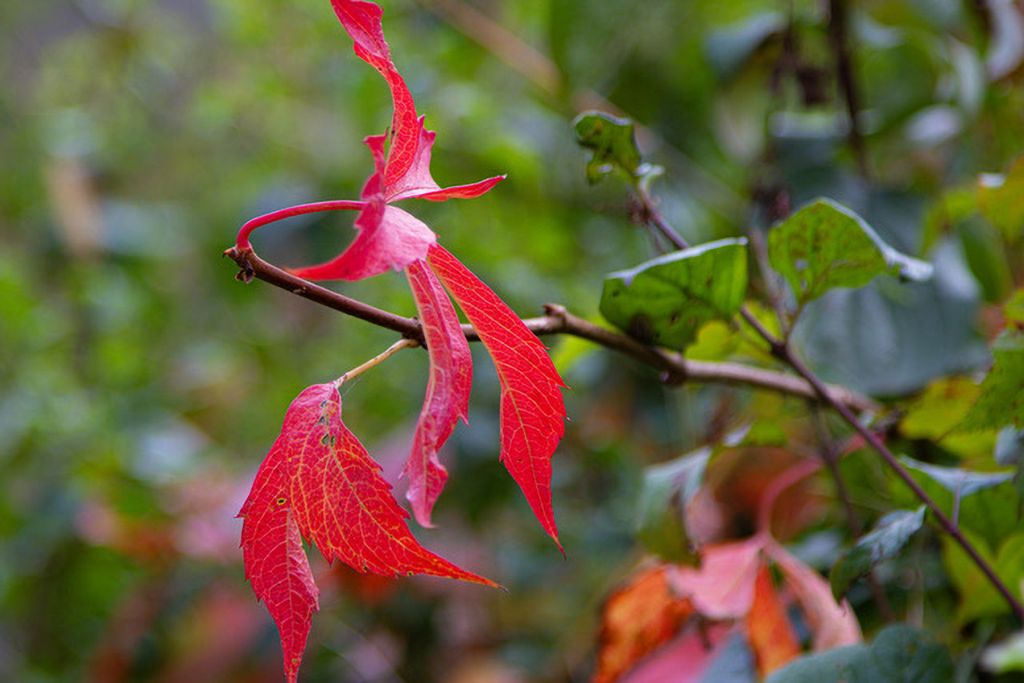 Res 8196 06389cf600dc31e42a24b25966595fde