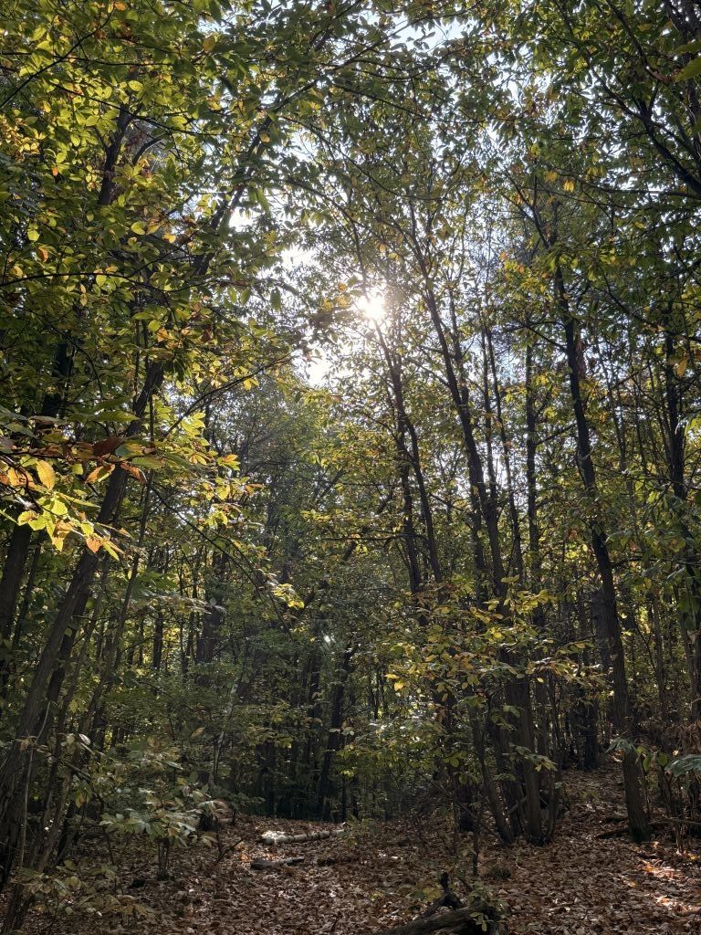 Res 8196 11ba2fd28109bd9b2e7757bb5052261f