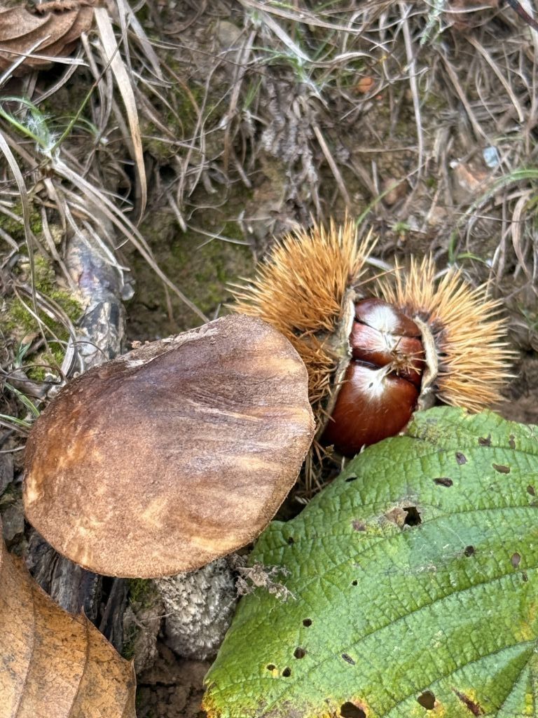 Res 8196 2877c5bd9eac79f24348754b48e4921f