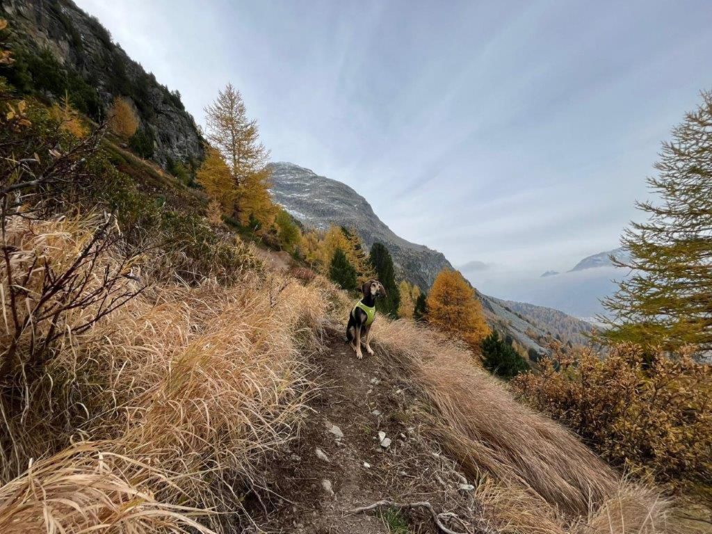 Res 8196 307d86c7dbe83464d5f57cf611f75f98