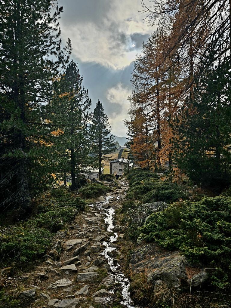 Res 8196 5bd1ca2a40e787680d16cb6a2acb6927