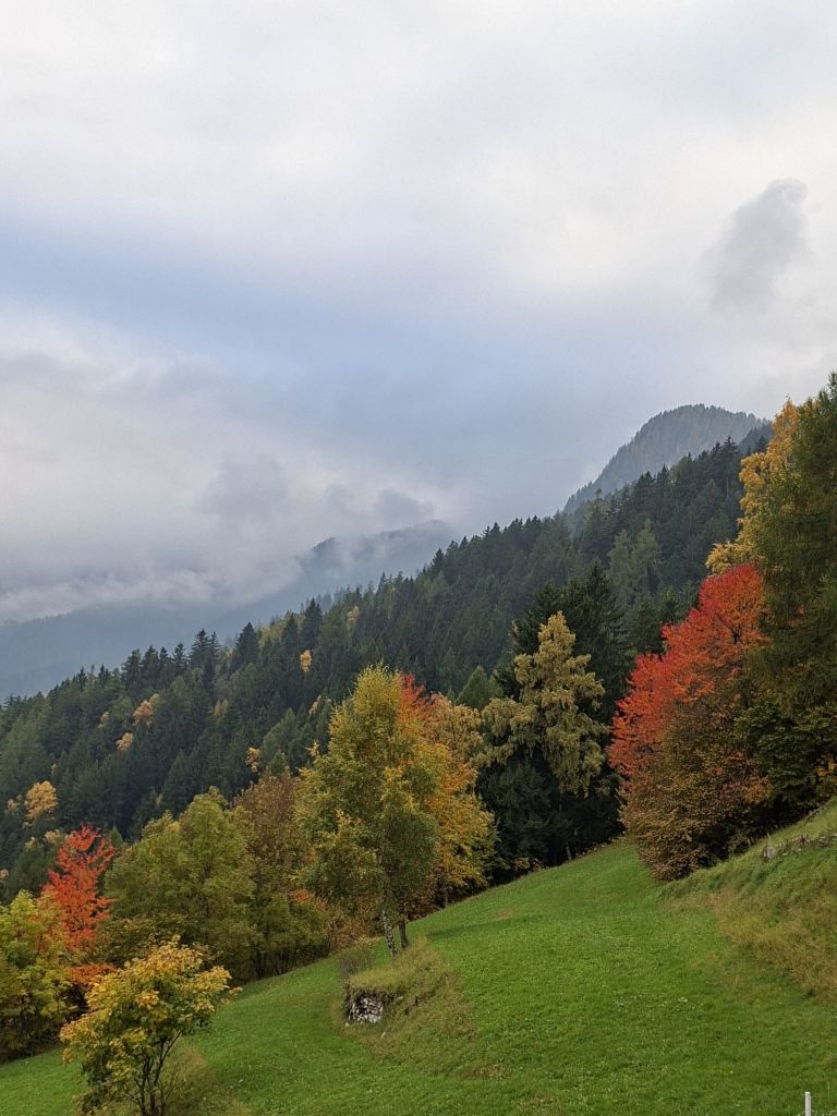 Res 8196 83aece2ee2e30b0443676aa955e77f45