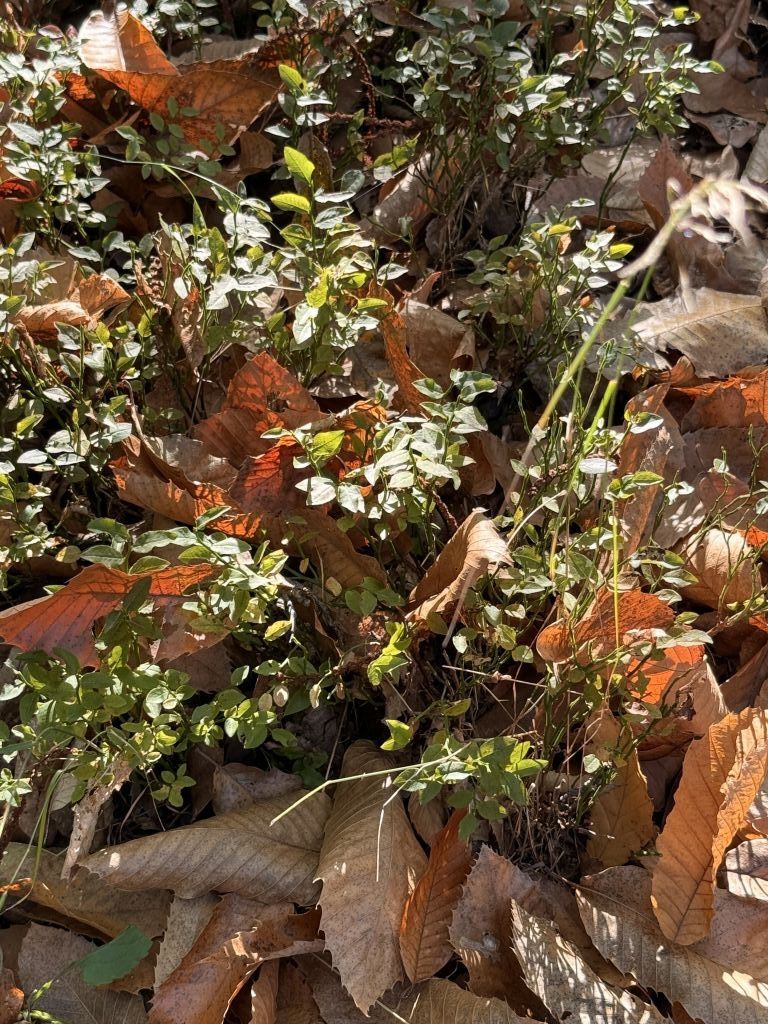 Res 8196 A3374193cff522308ba6be0dc34e4e40