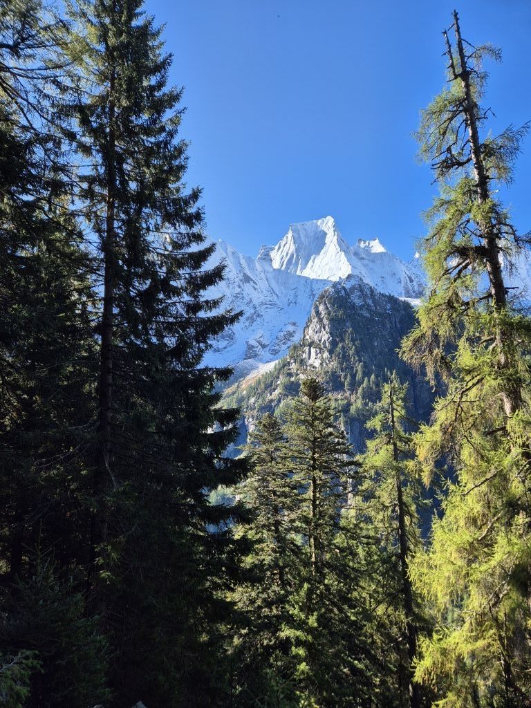 Res 8196 A7a09ac5f15250a87f99165c6ee8de75