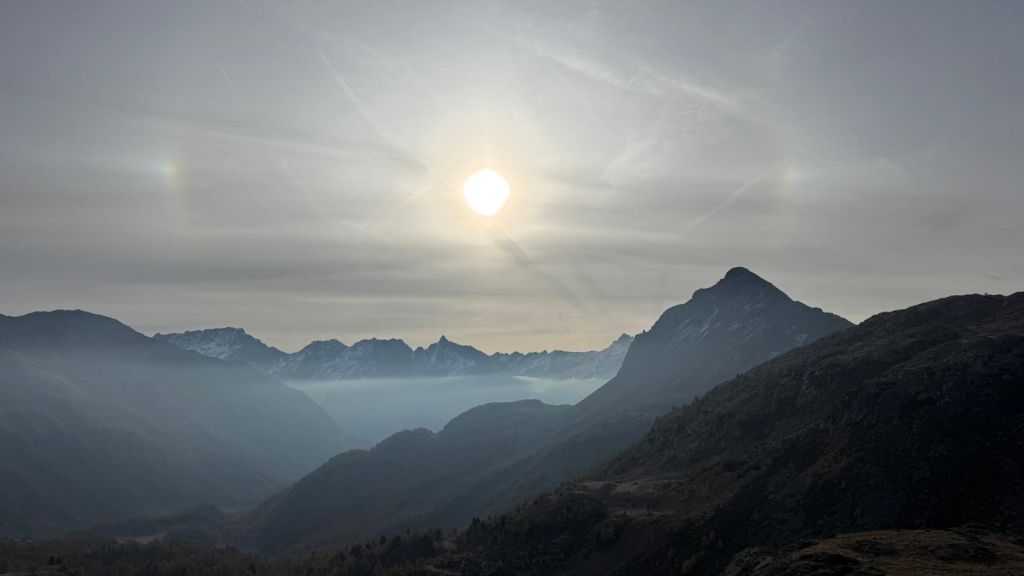 Res 8196 D02376e43c5dd14707fa38a06e6cb423