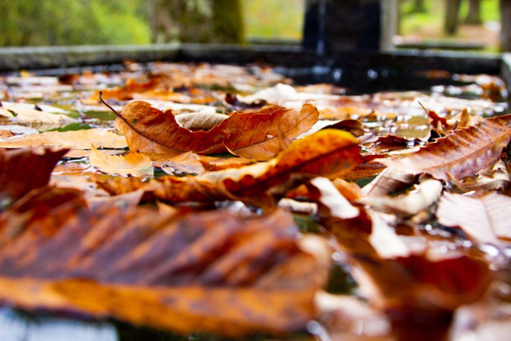 Res 8196 D65f814f119519ec2519fb841039fd67