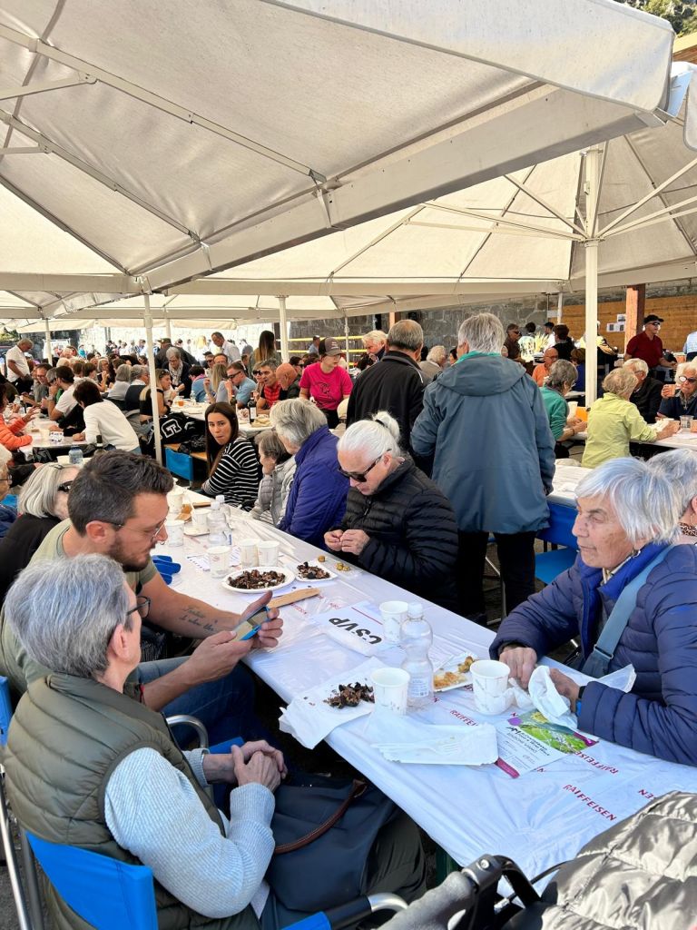 Res 8271 08e0edf36f194139d767db3b17238284