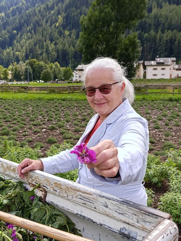 Res 8271 0f8775698473653da7543bfc4a5d31e6