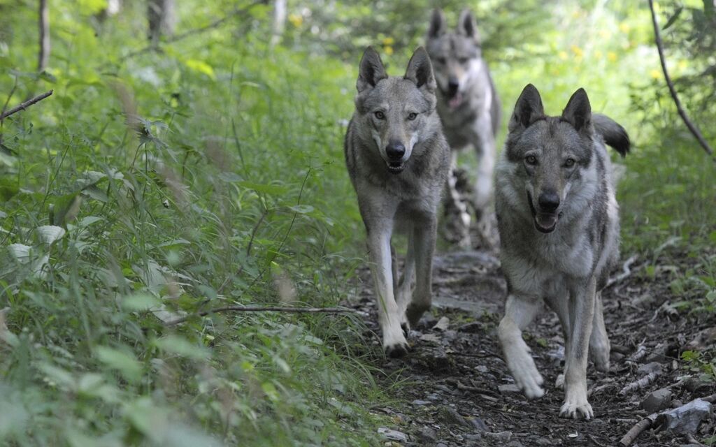 148909325 Highres B7dbf