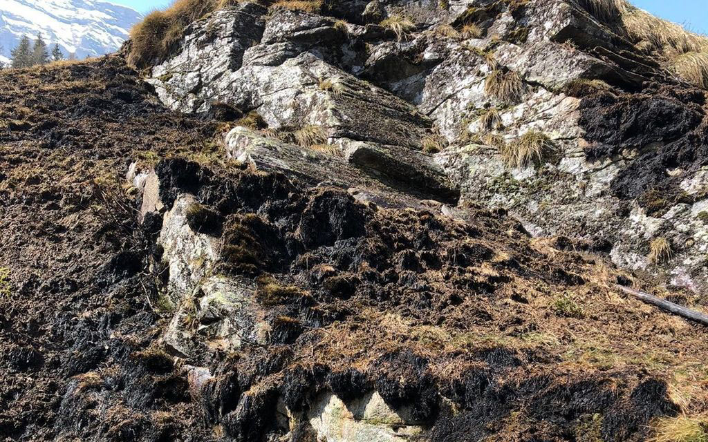 2021 04 24 Flurbrand Rossa  W 1200  H 0 19a3c