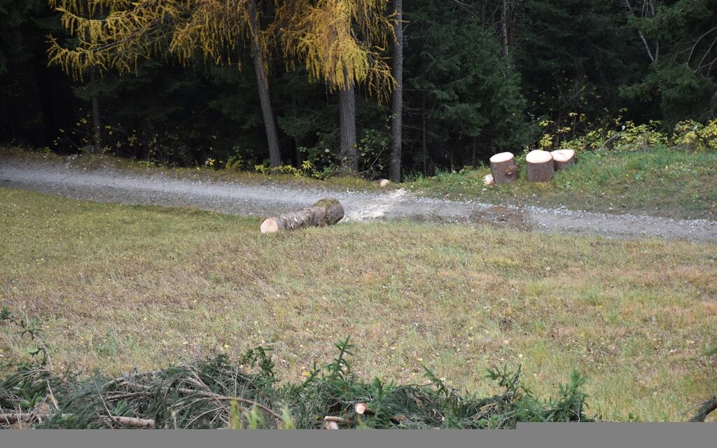 2021 10 30 Poschiavo  W 1600  H 0 7ce80