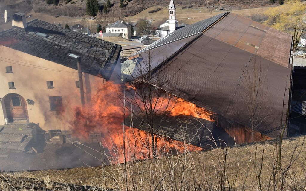 2022 02 22 San Carlo Brand  W 1200  H 0 Af8aa