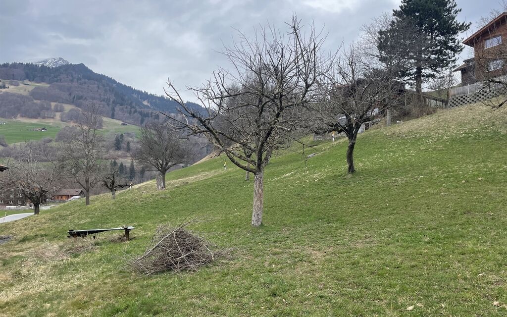 2023 03 24 Fajauna W 1200 H 0 224c1