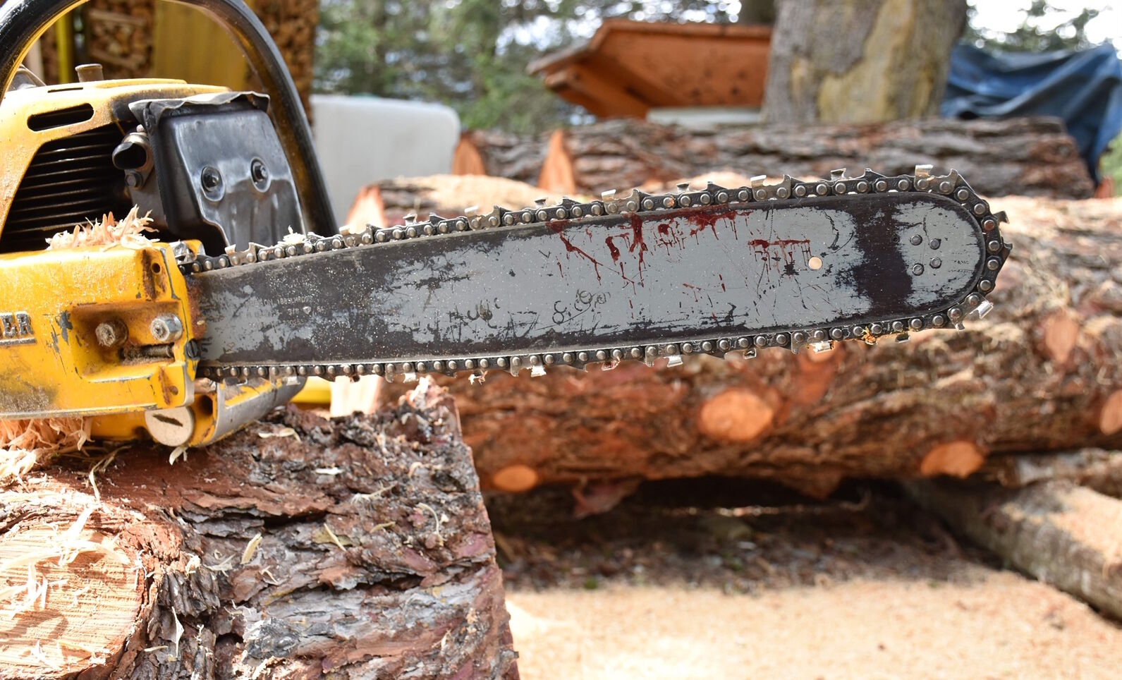 2023 05 06 Arbeitsunfall Poschiavo Motorsäge  W 1600  H 0 D4e27