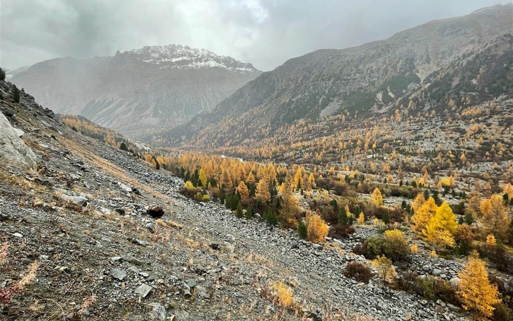 2023 10 30 Pontresina  W 1600  H 0 Ca02d