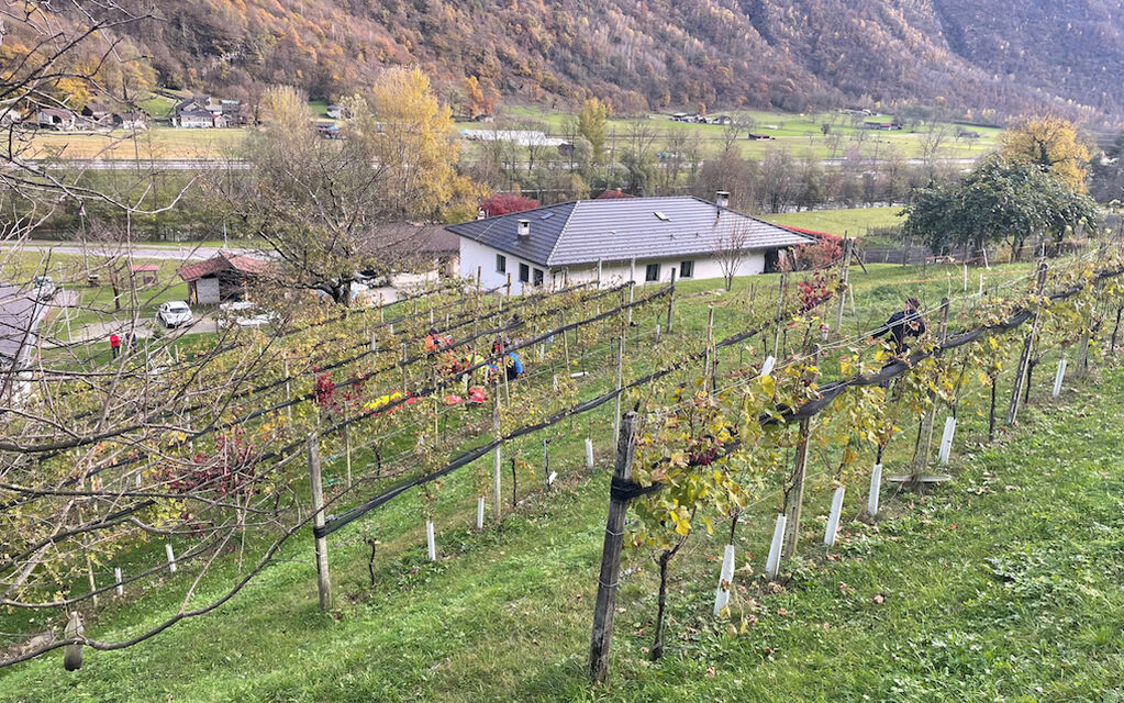 2023 11 17 Gleitschirmunfall Leggia 7e236