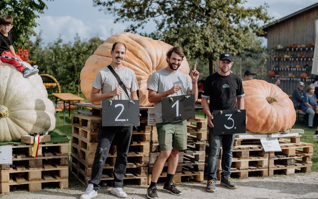 382974785 724855866339324 6085456249305700822 N 394c1