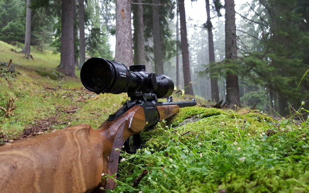 Caccia Fucile 33688 52554