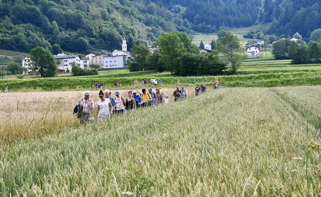 Campicoltura 2025 1e580