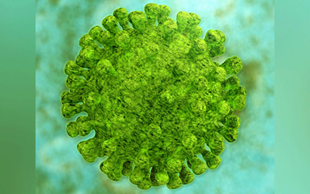 Coronavirus 1 Dc935