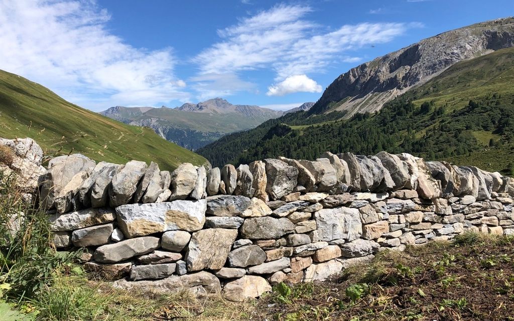 Foto Trockenmauern Alp Danis Casti Wergenstein 2021  W 1200  H 0 Fcf2a