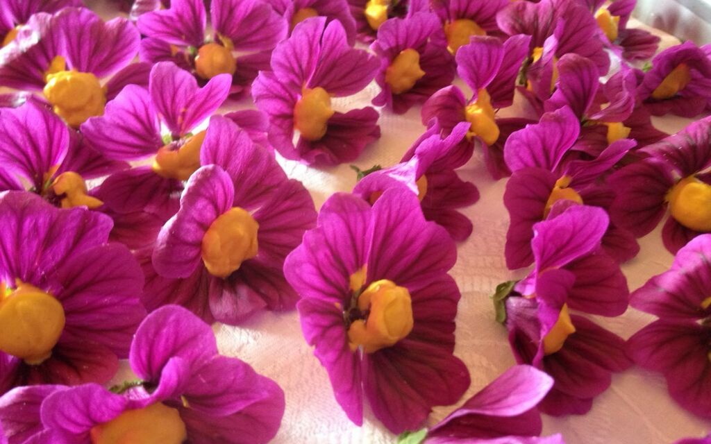 IMG 20161118 WA0009 Fde43