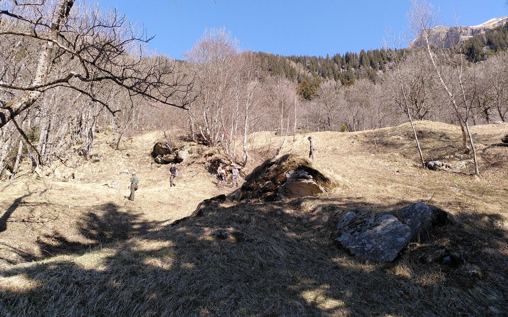 IMG 20210424 101428 F9e33