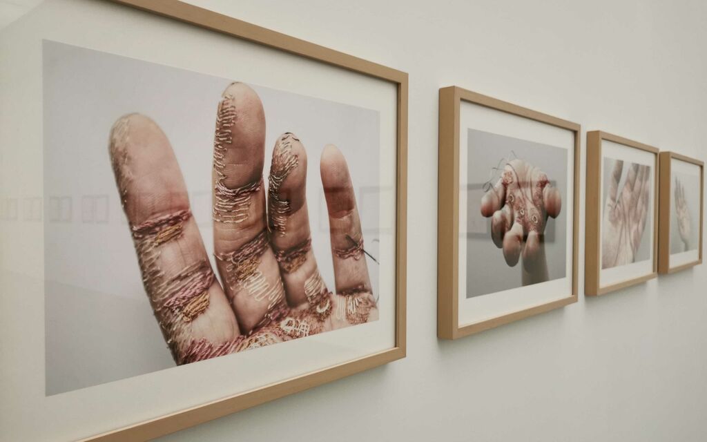 IMG 20220825 104749 Bfc7c