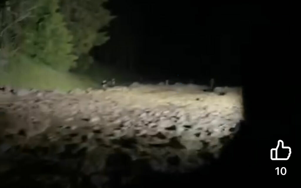 IMG 4931 157f6 8b58c