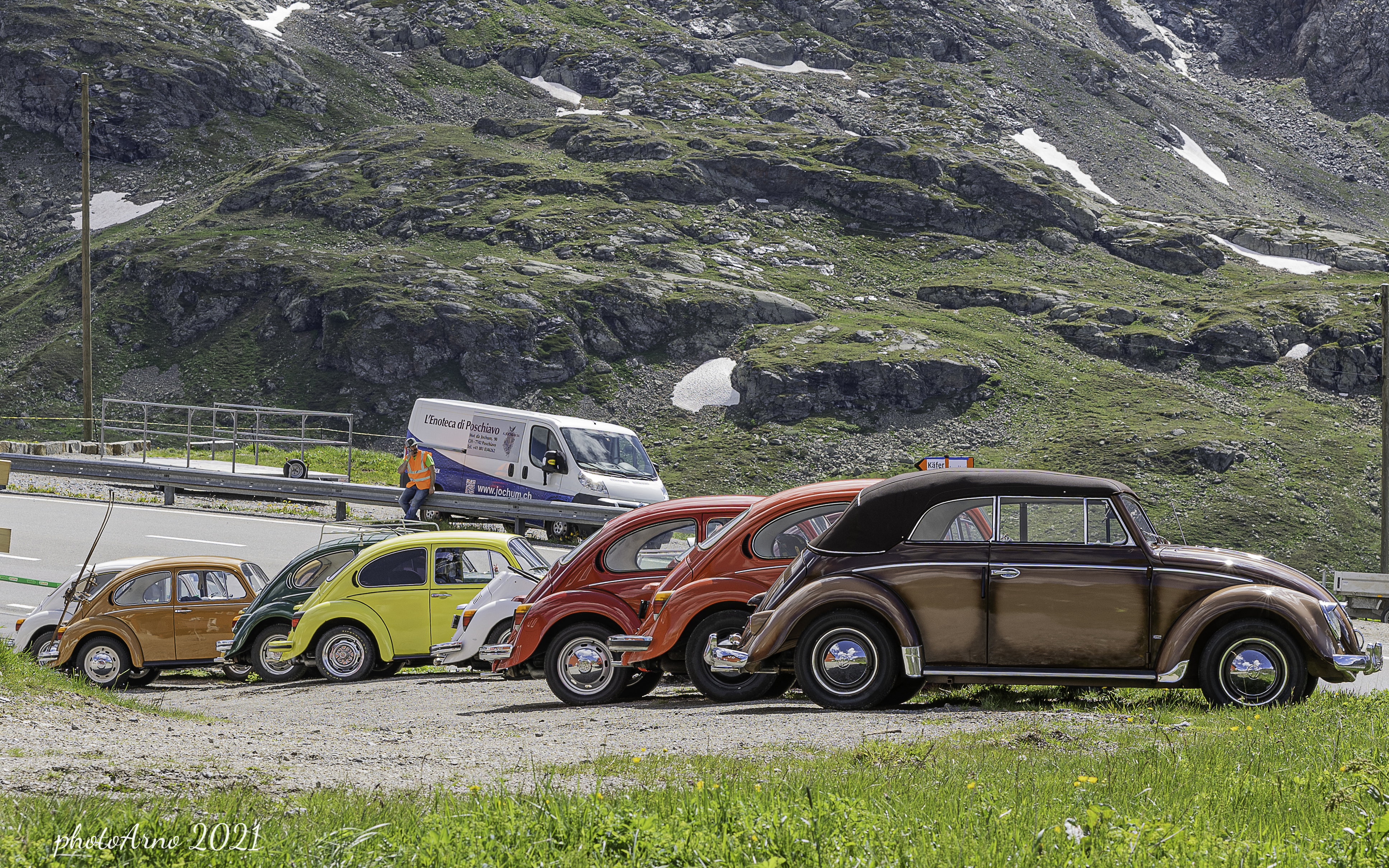 Nuove foto dei maggiolini Nuove foto dei maggiolini