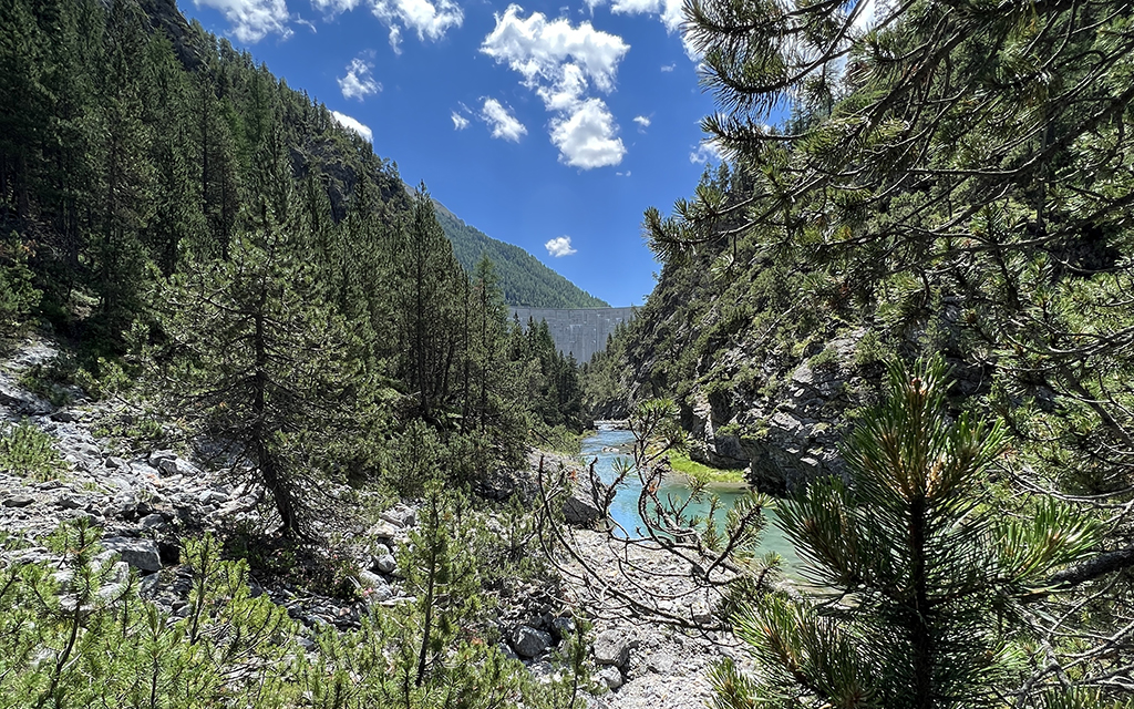 Oberer Spöl Mit Staumauer Punt Dal Gall D7572