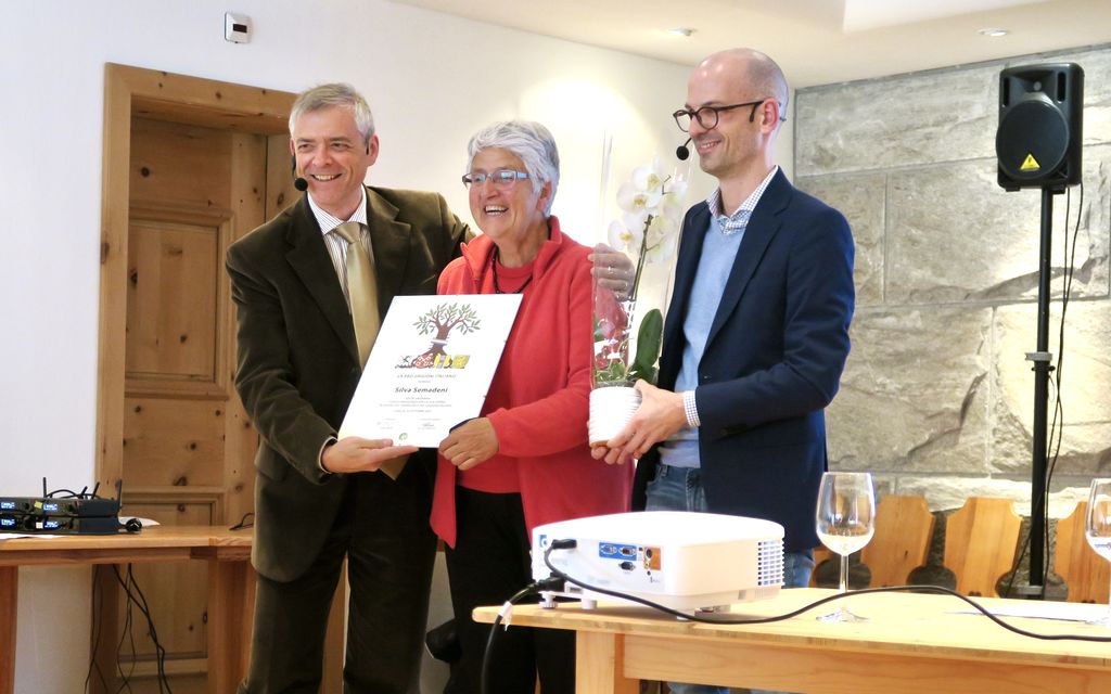 PGI AD 2021 8137 0aed0