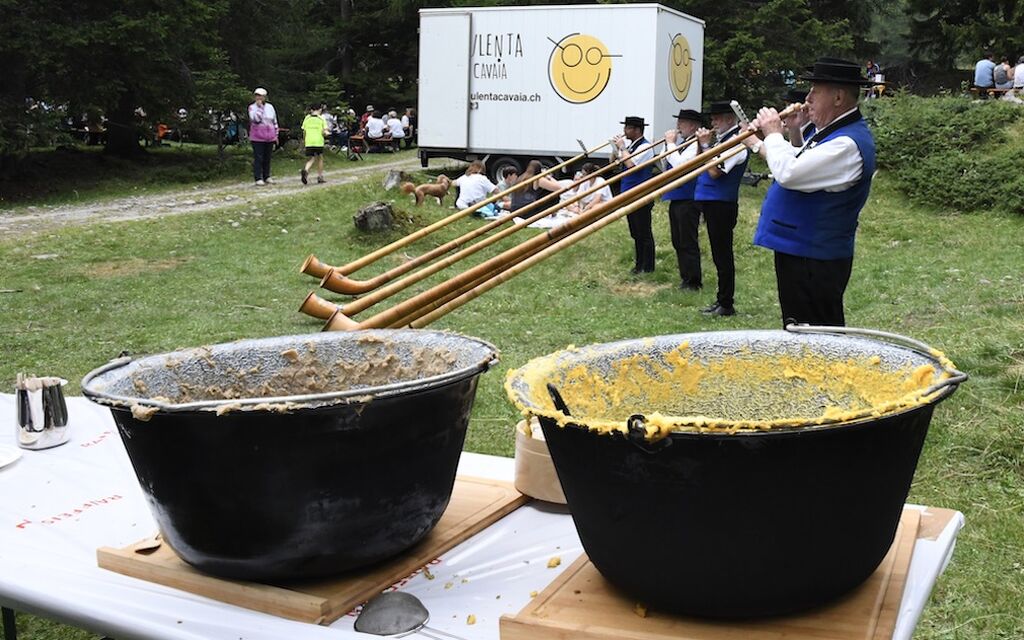 PulentaCavaia 6590 1024 0e614