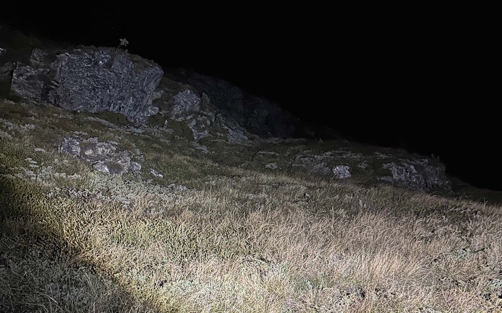 Sil I E   Wanderunfall  W 1200  H 0 06616