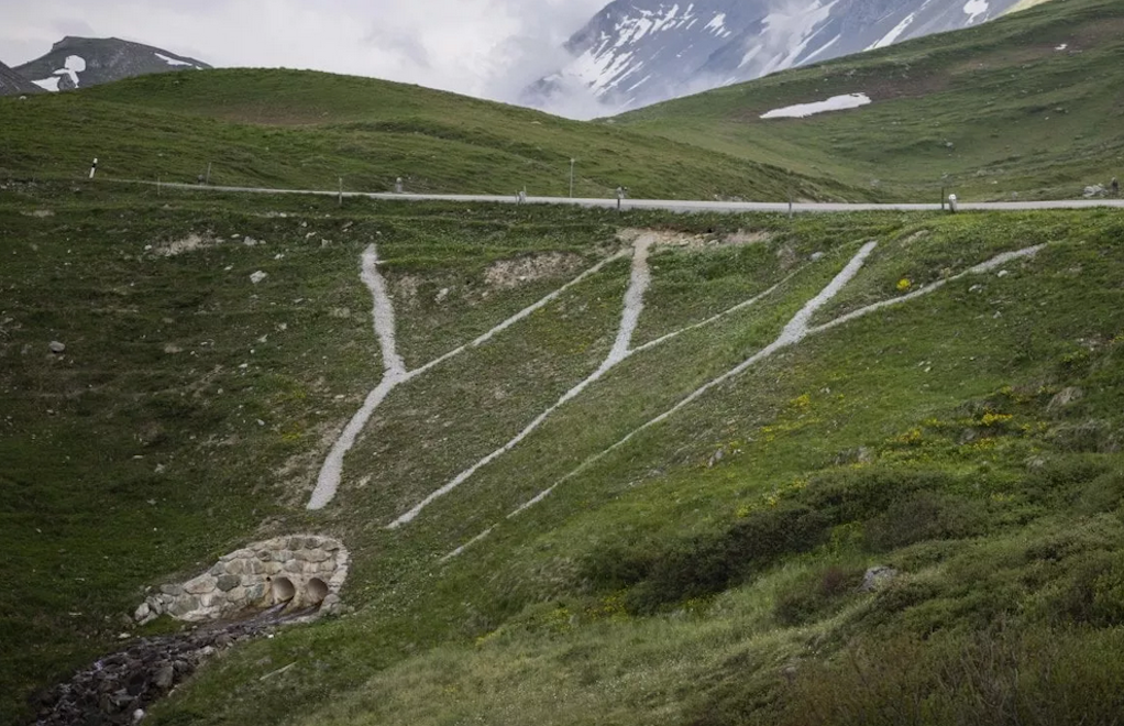 Albula Incidente B116c