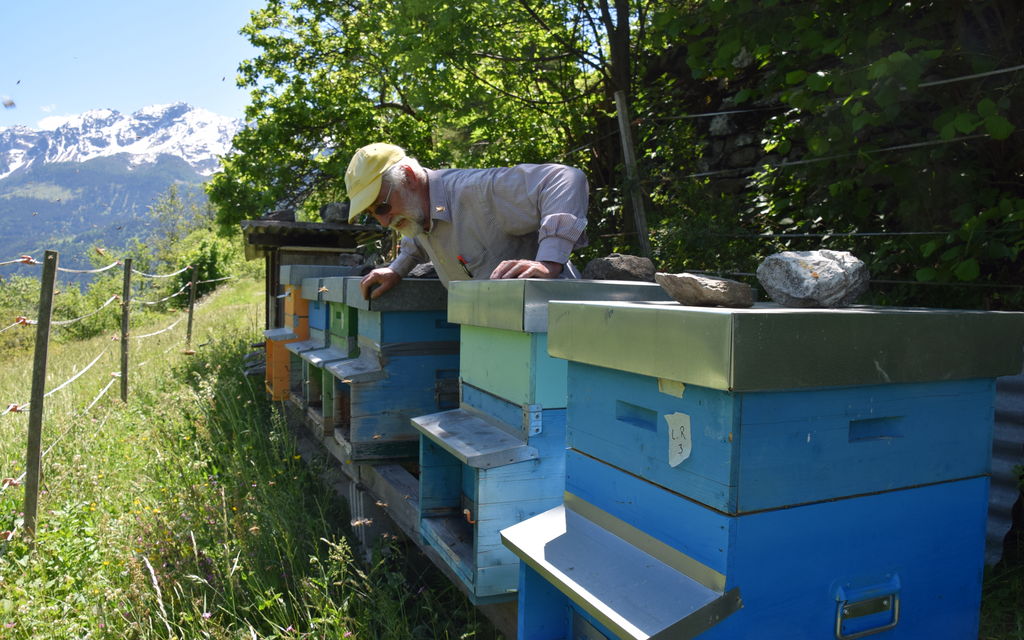 Annoeccezionaleperleapidellavalle 2020 01 013 Bf690