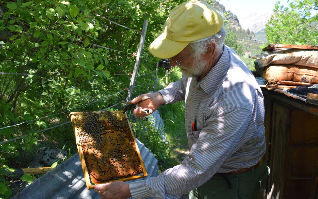 Annoeccezionaleperleapidellavalle 2020 01 044 64c7a