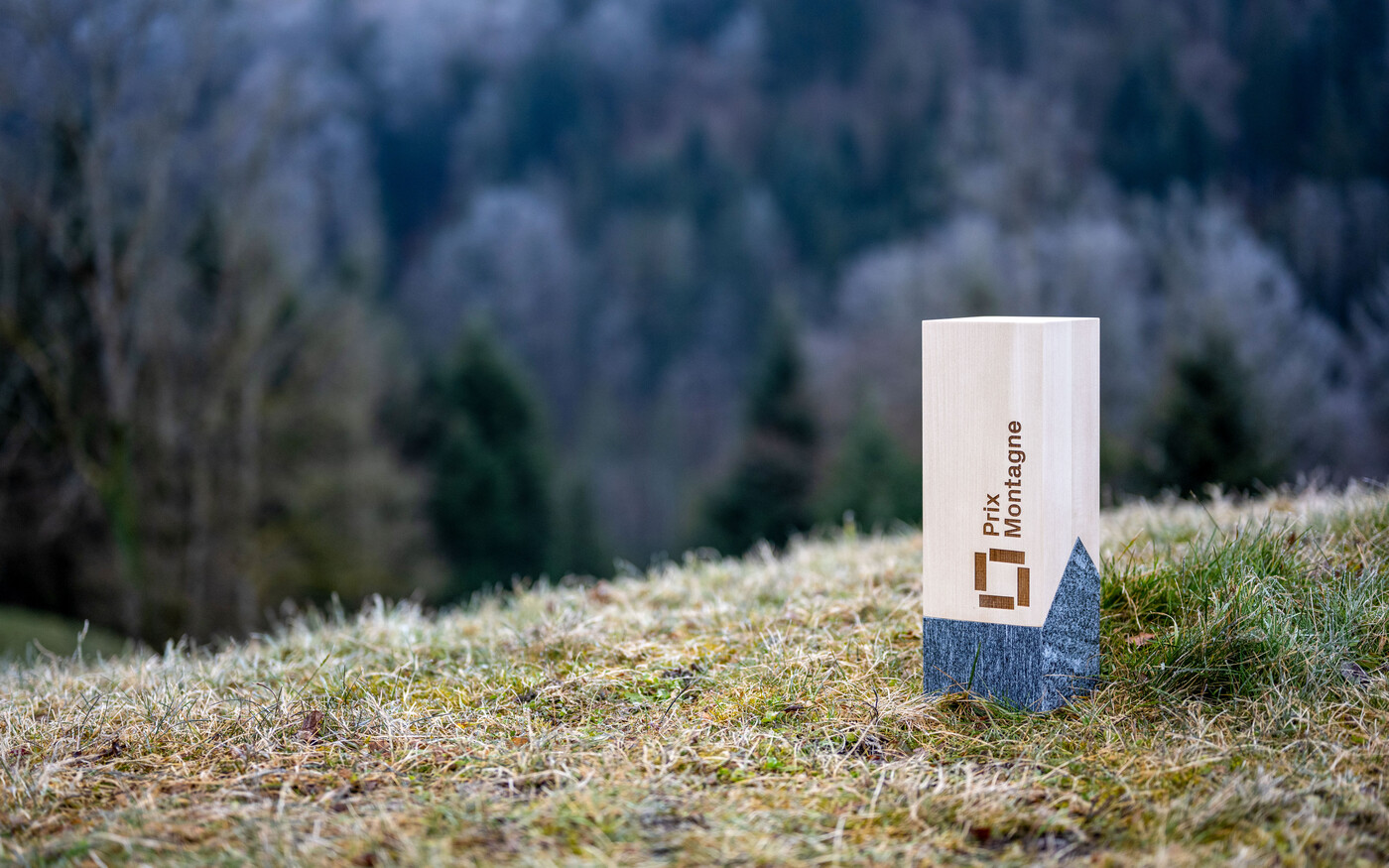 02 Prix Montagne Pokal 2025 Ae7db