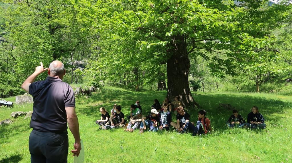 1 Uccelli nel castagneto cefd3