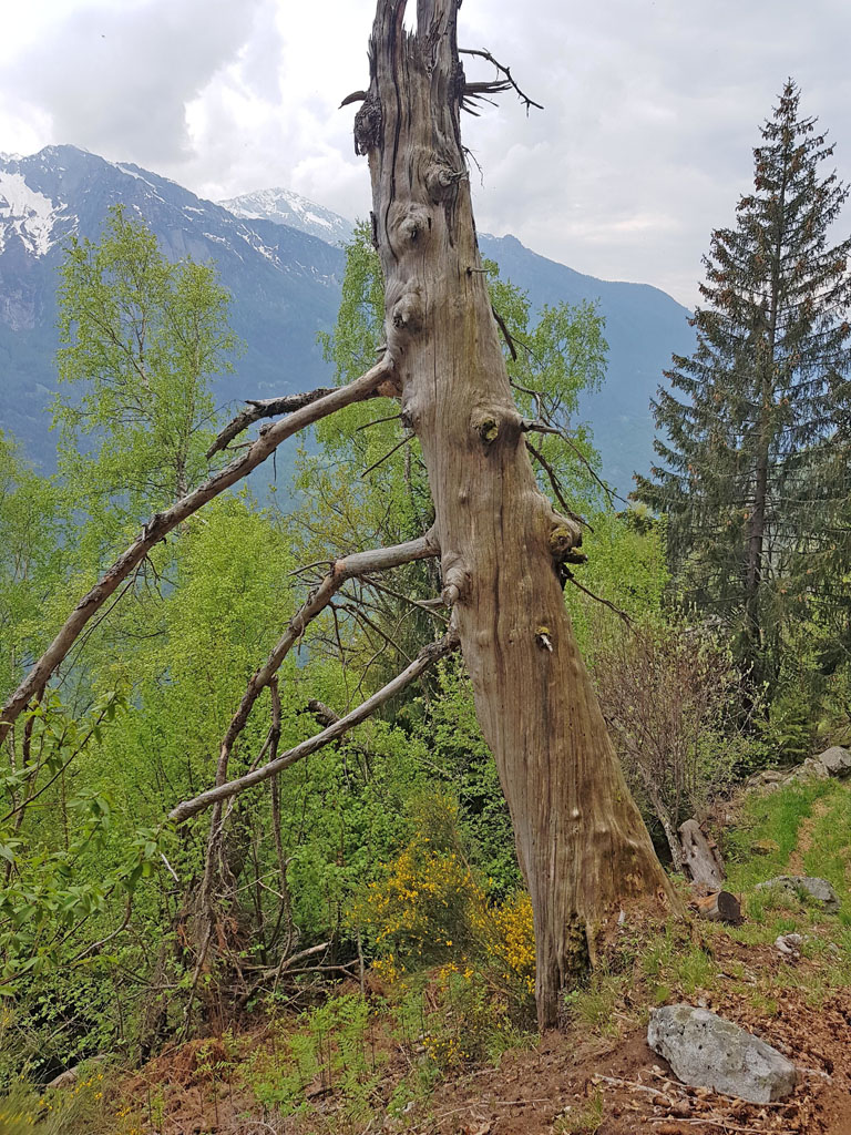 14 gita in verticale 20233