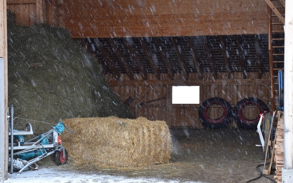 2018 10 02 Avers 01  W 1200  H 0 727a9