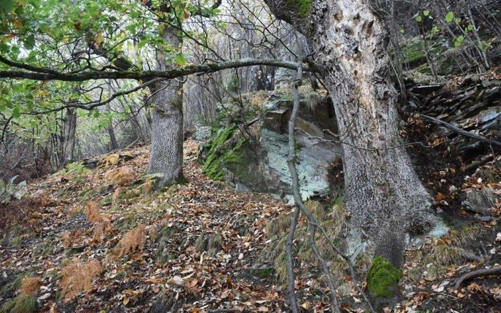 2018 10 28 Bergunfall Soazza  W 1200  H 0 B7534