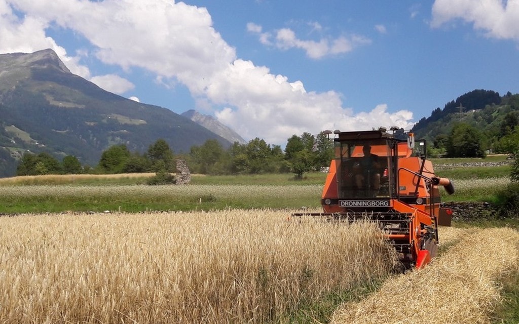 20180804 115458 Resized C068e