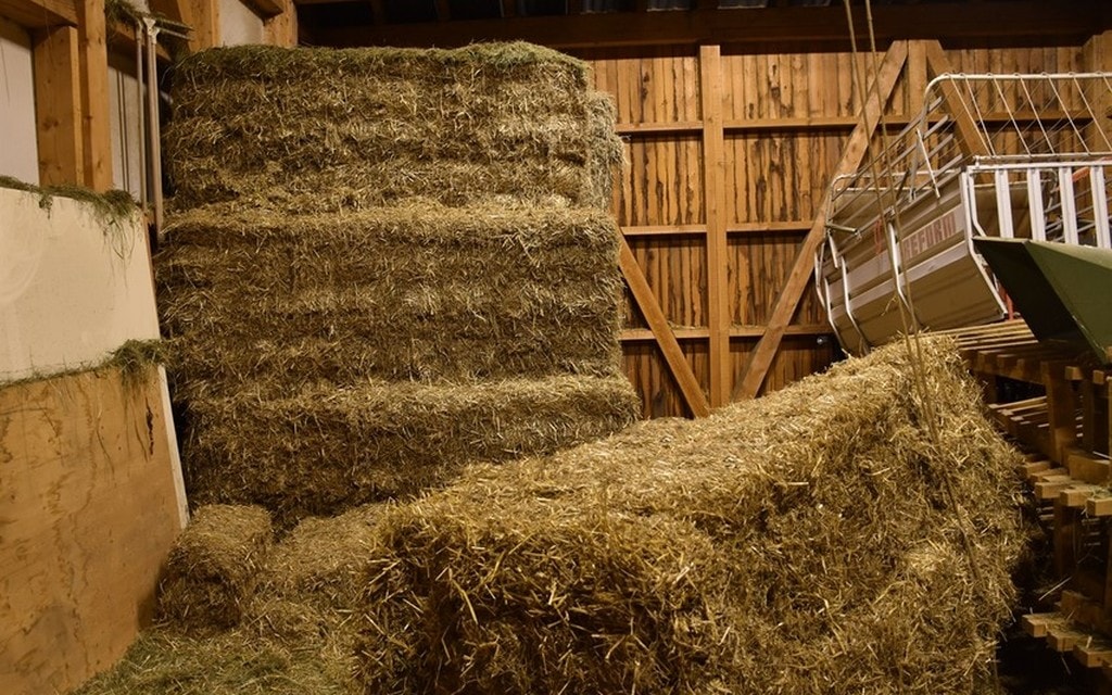 2019 01 26 Sedrun   Strohballen  W 1200  H 0 E37d1