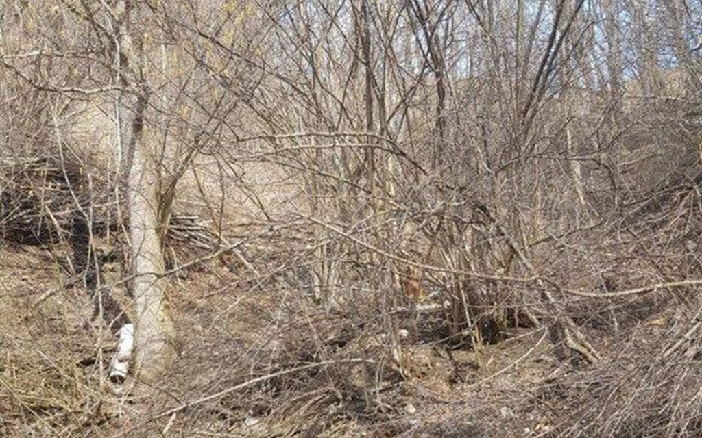 2019 03 04 Schiers  W 1200  H 0 E4767