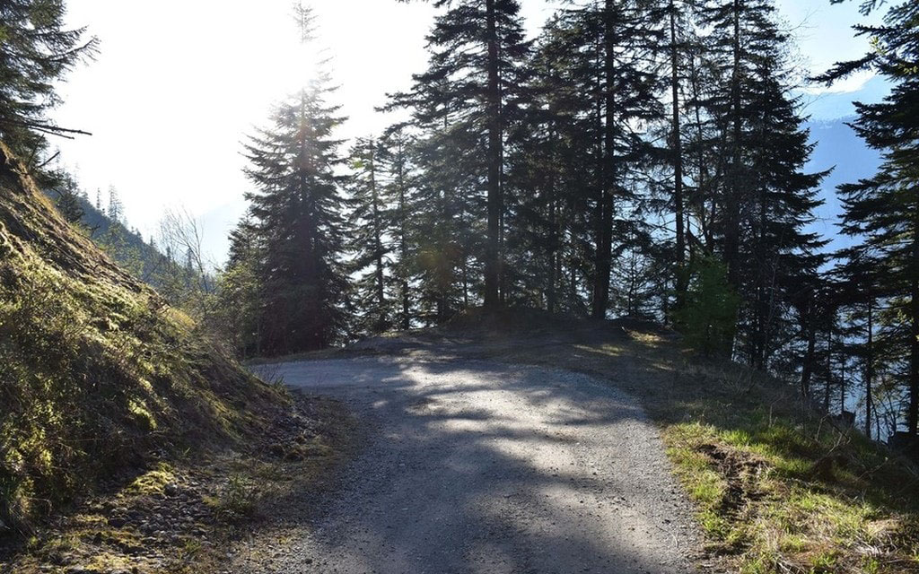 2019 05 24 Juchs Alpstrasse  W 1200  H 0 Dae40