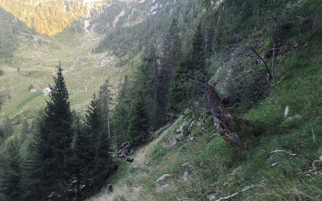 2019 08 04 Roveredo Wanderer Abgestürzt  W 1200  H 0 362cb