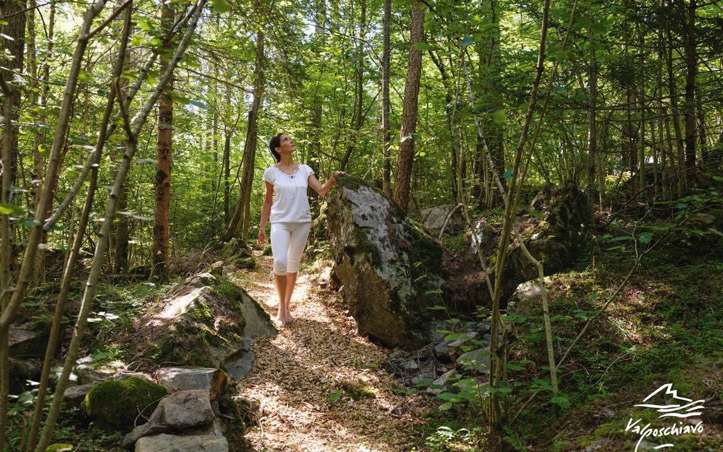 Armonia Sentiero B7d91