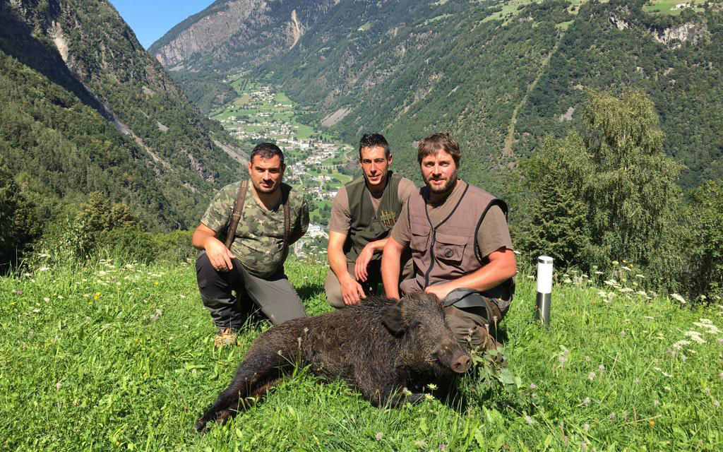 Cinghiale Fabrizio ISeppi 48526