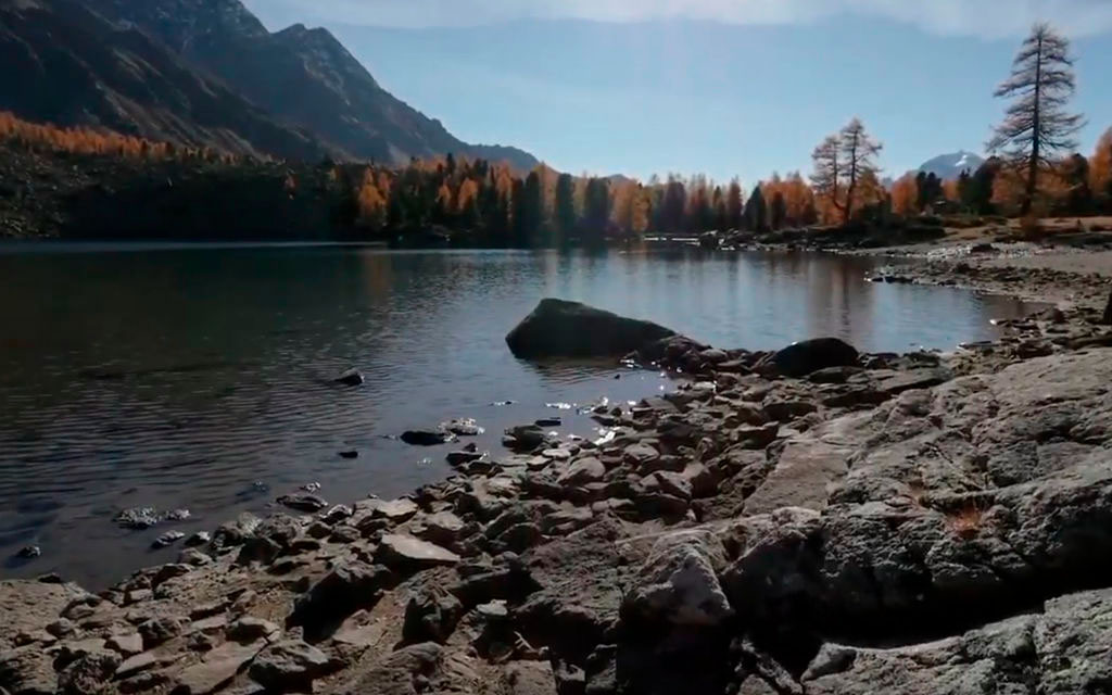 EssereBenEssere A74cf